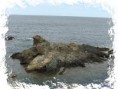 /album/nature/rocher-jpg/